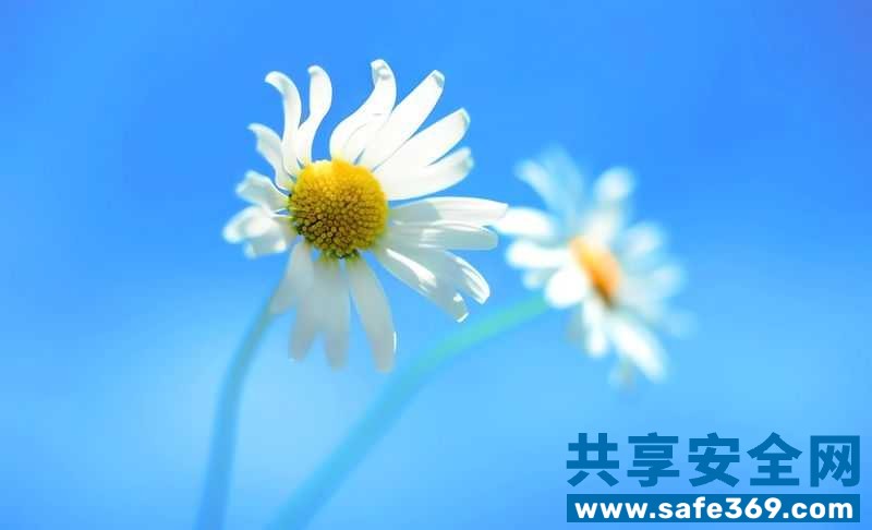 windows 8默认壁纸-1